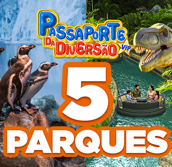 Promoção 1