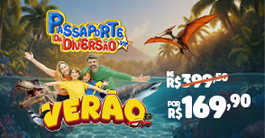 Passaporte da diversão