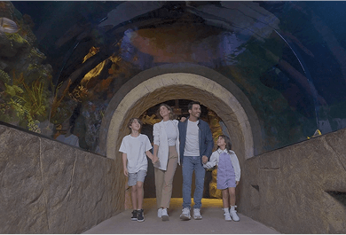 Ingresso Meia-Entrada