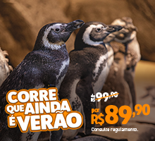 Ingresso Meia-Entrada