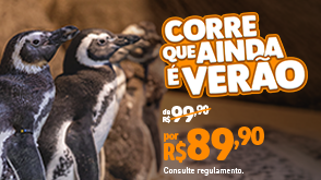 Ingresso Meia-Entrada