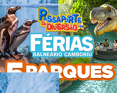 Passaporte da diversão