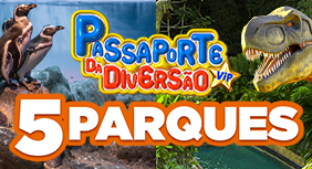 Passaporte da diversão