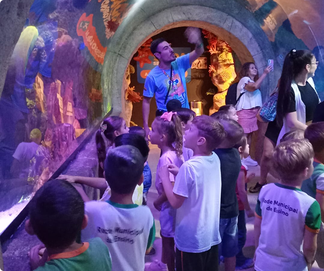 Educação infantil ao 1º ano