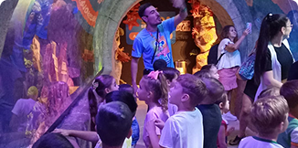 Educação infantil ao 1º ano