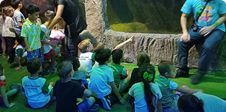 Ensino fundamental I: 2º ao 4º ano